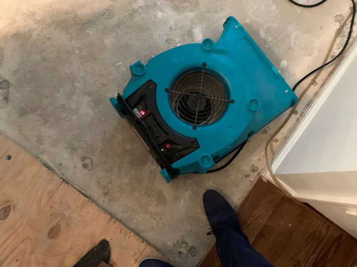 Air mover drying subfloor during Commercial Water Damage Restoration in Travelers Rest